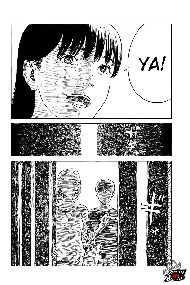 Panel 11