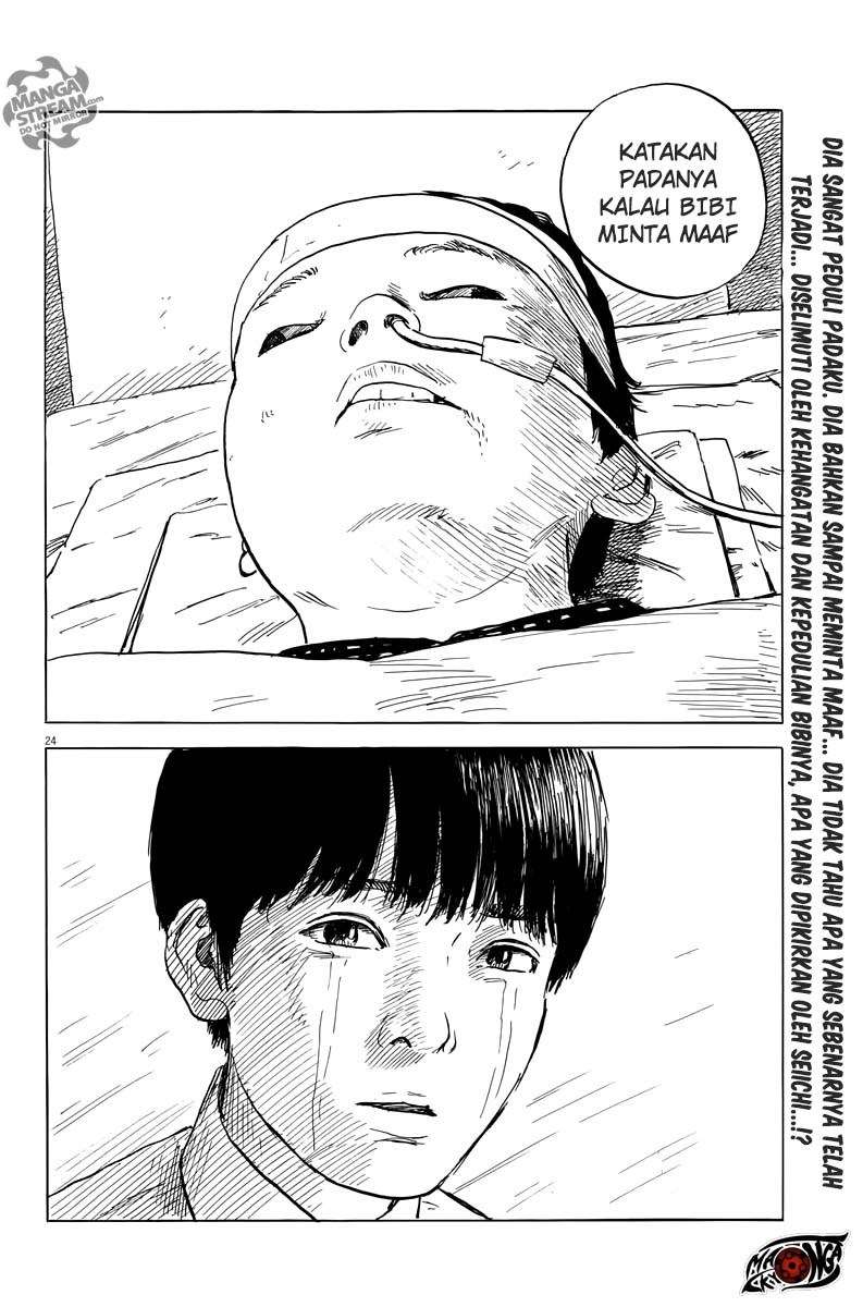 Panel 24
