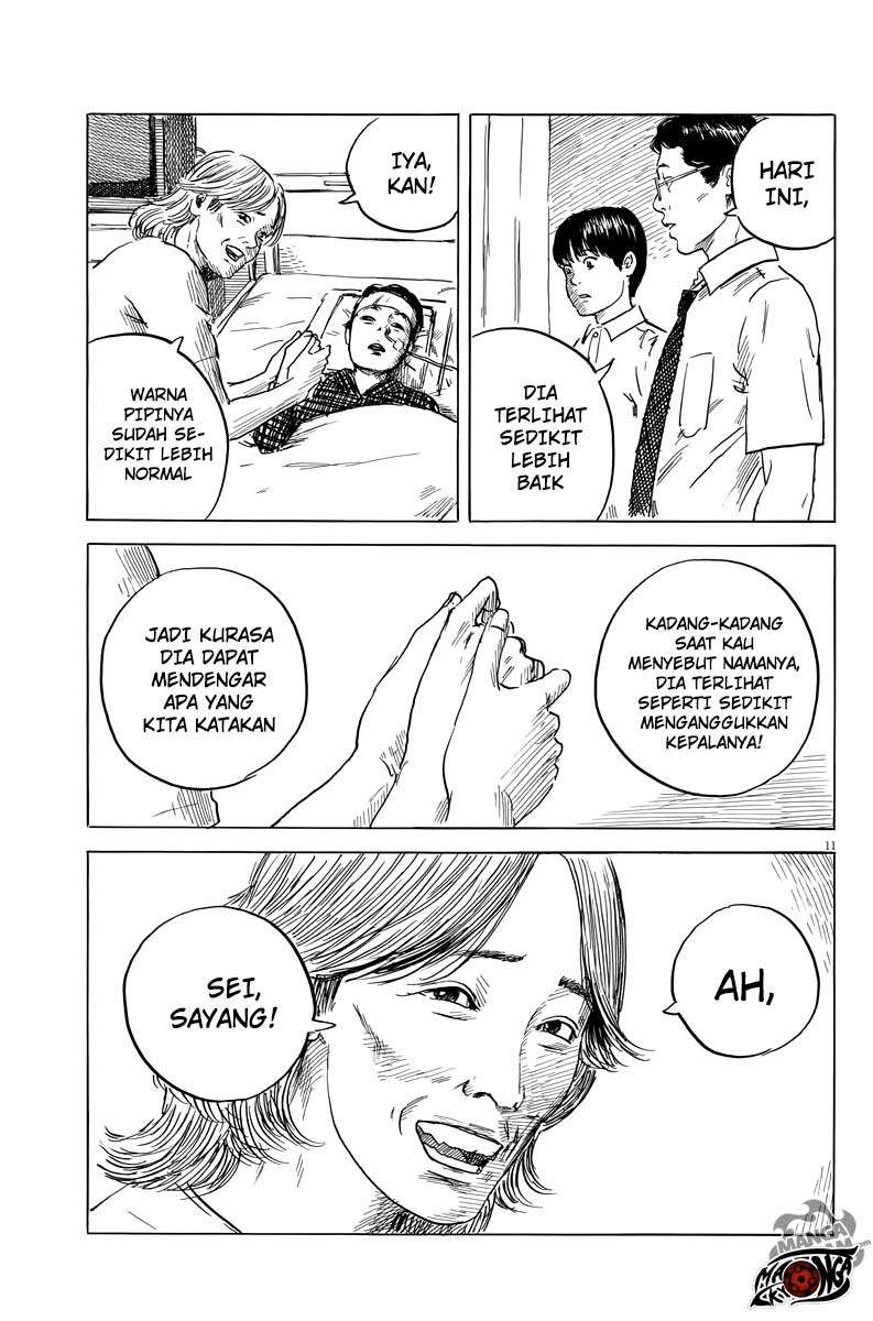 Panel 11