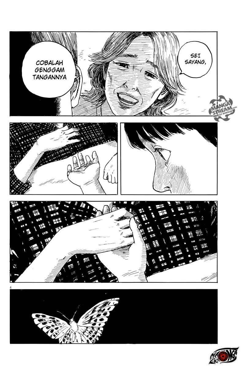 Panel 5