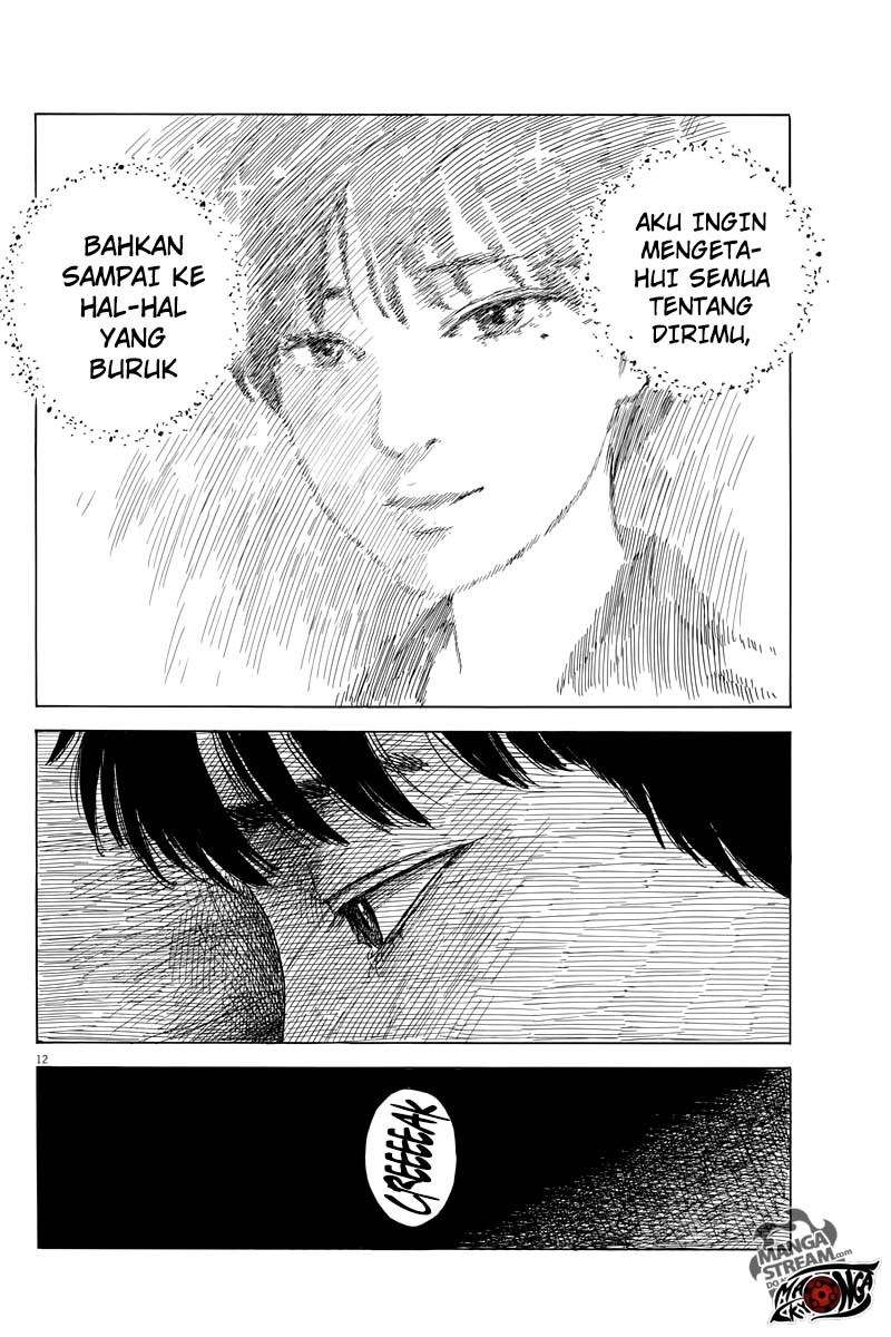 Panel 13