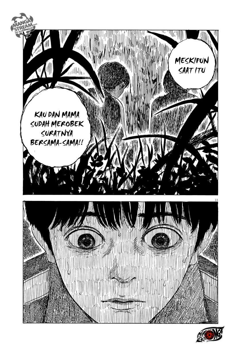 Panel 12