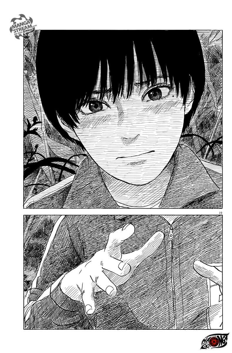 Panel 19