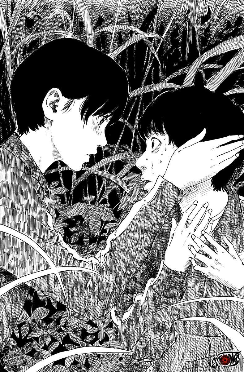 Panel 20