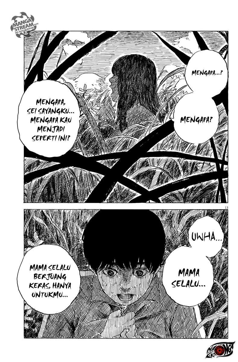 Panel 14