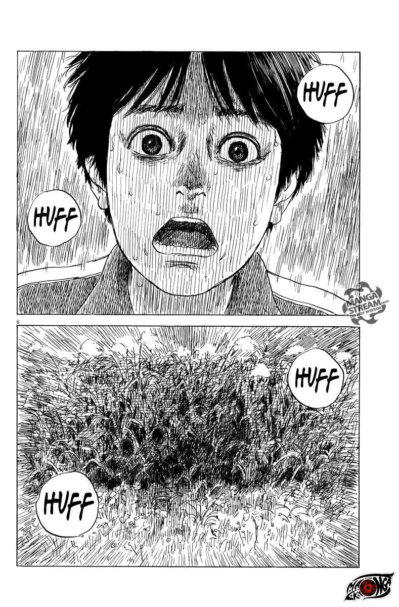Panel 7