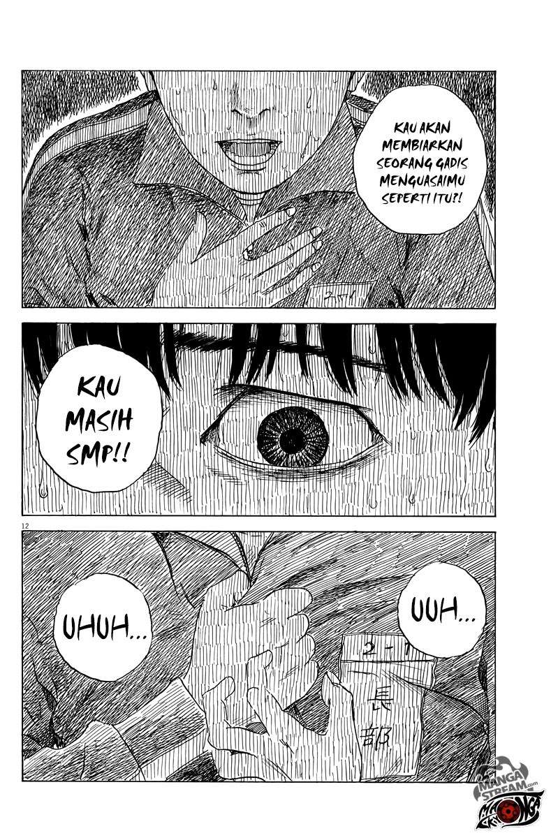 Panel 13