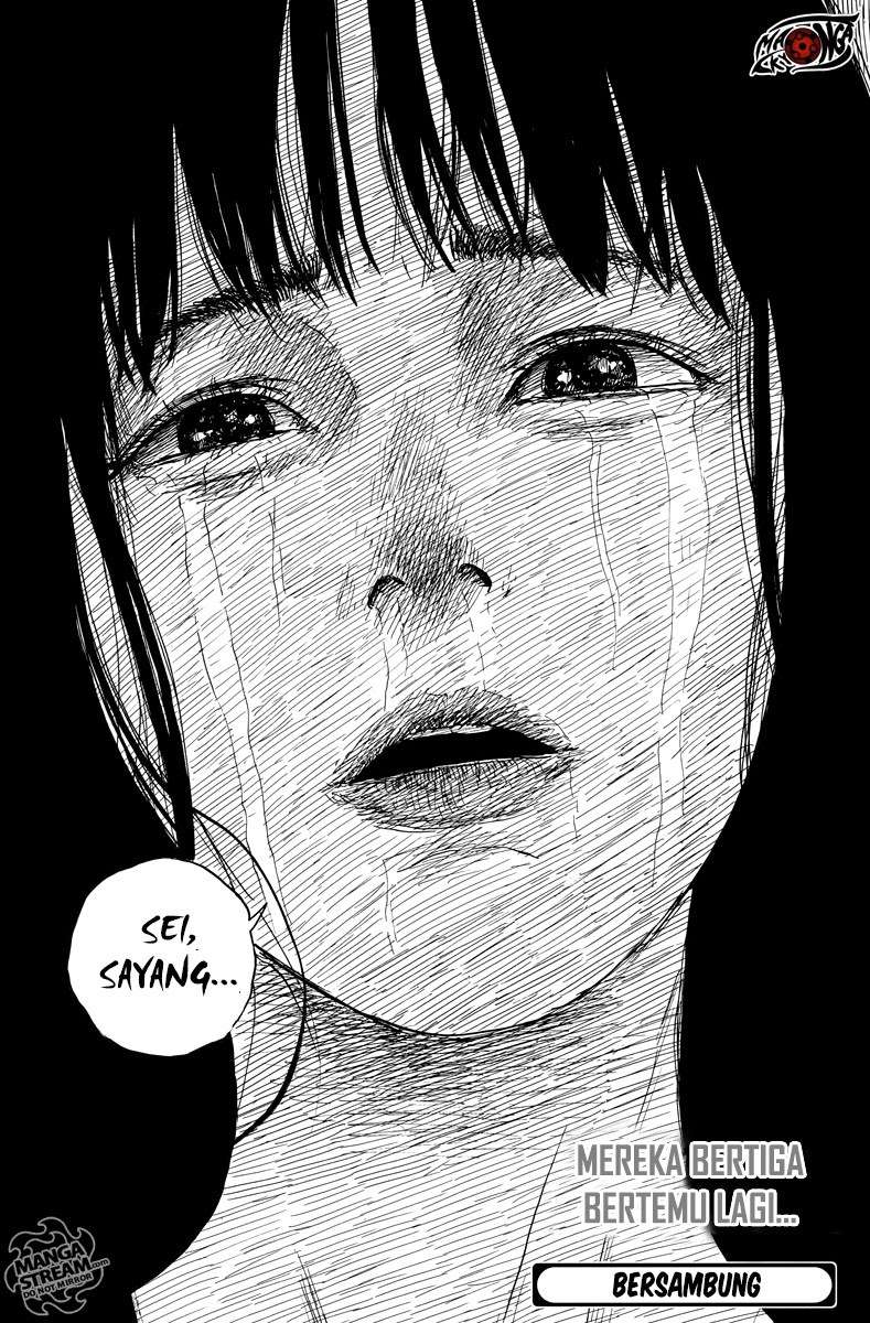 Panel 24
