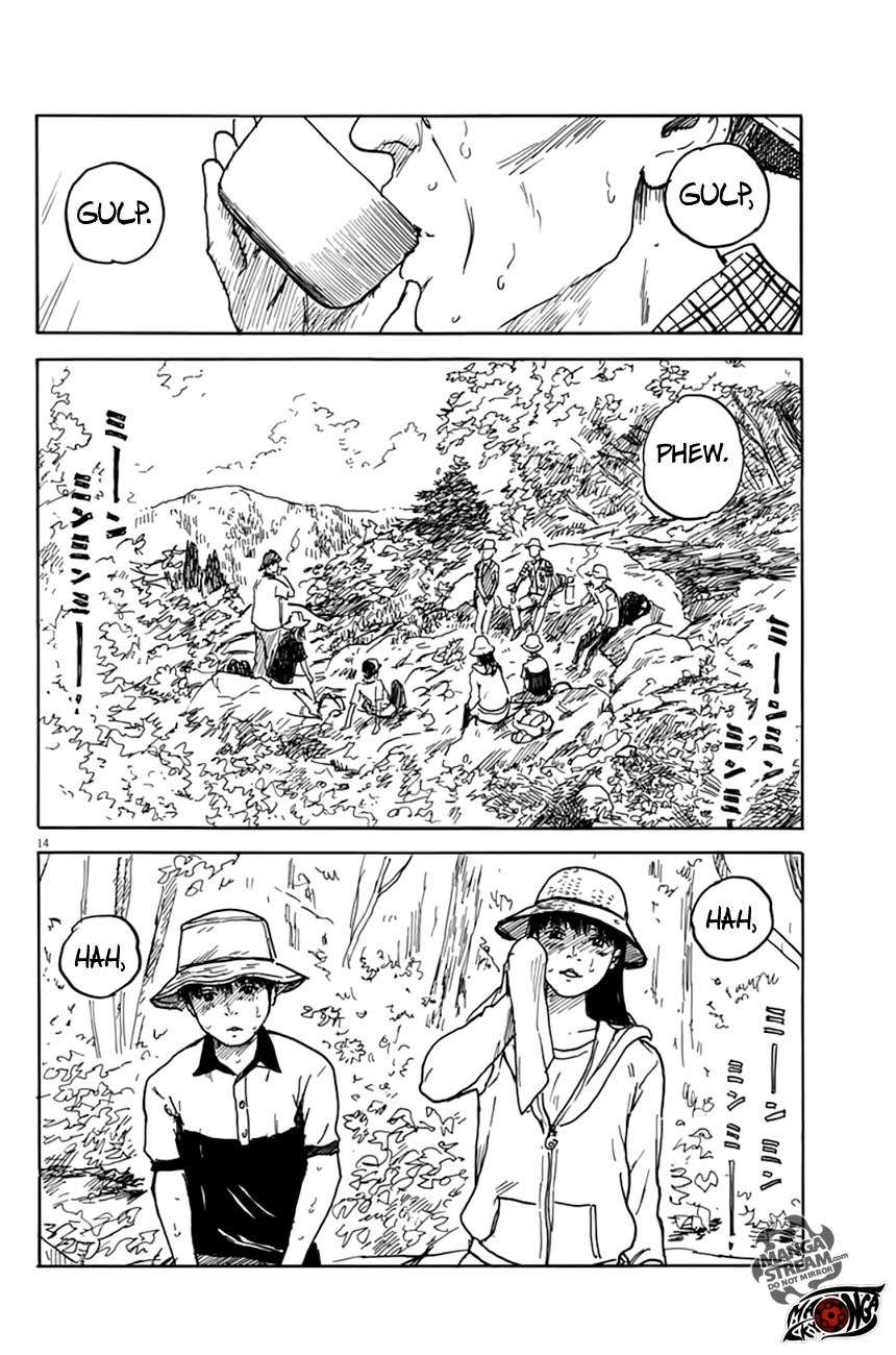 Panel 14