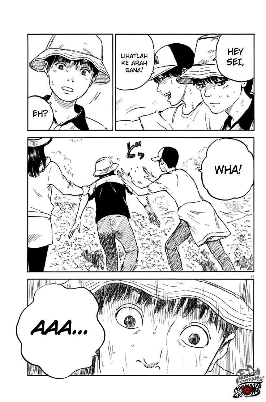 Panel 19
