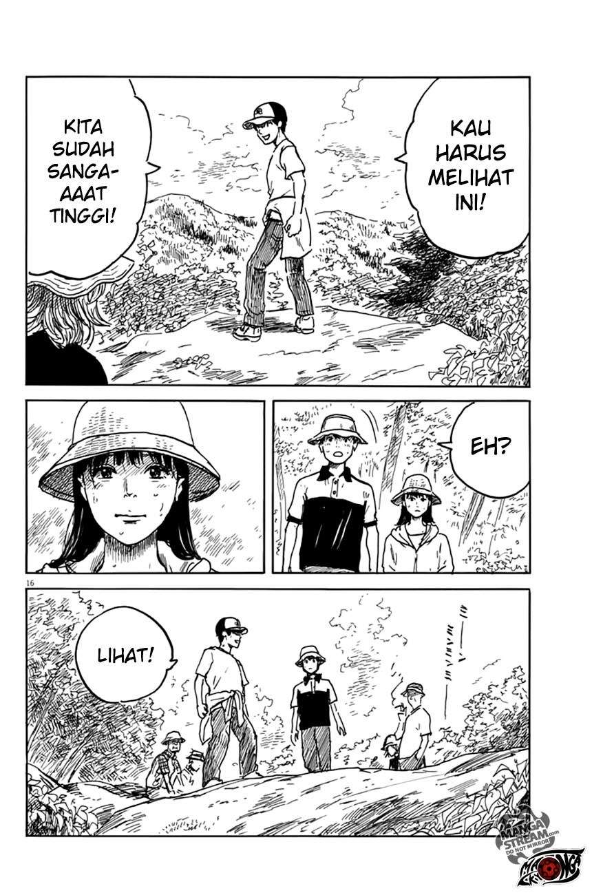 Panel 16