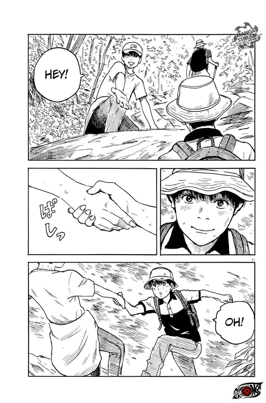Panel 11