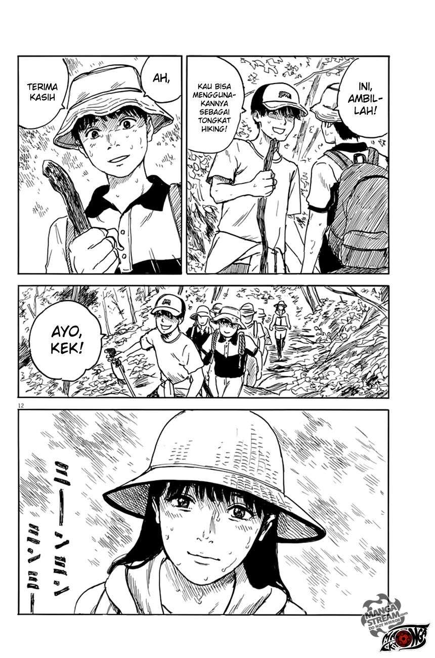 Panel 12