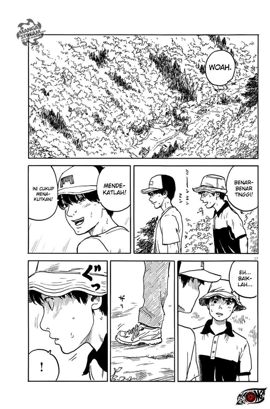 Panel 17