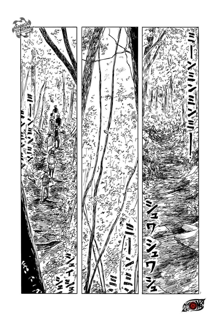 Panel 7
