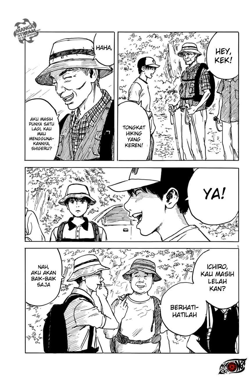 Panel 5
