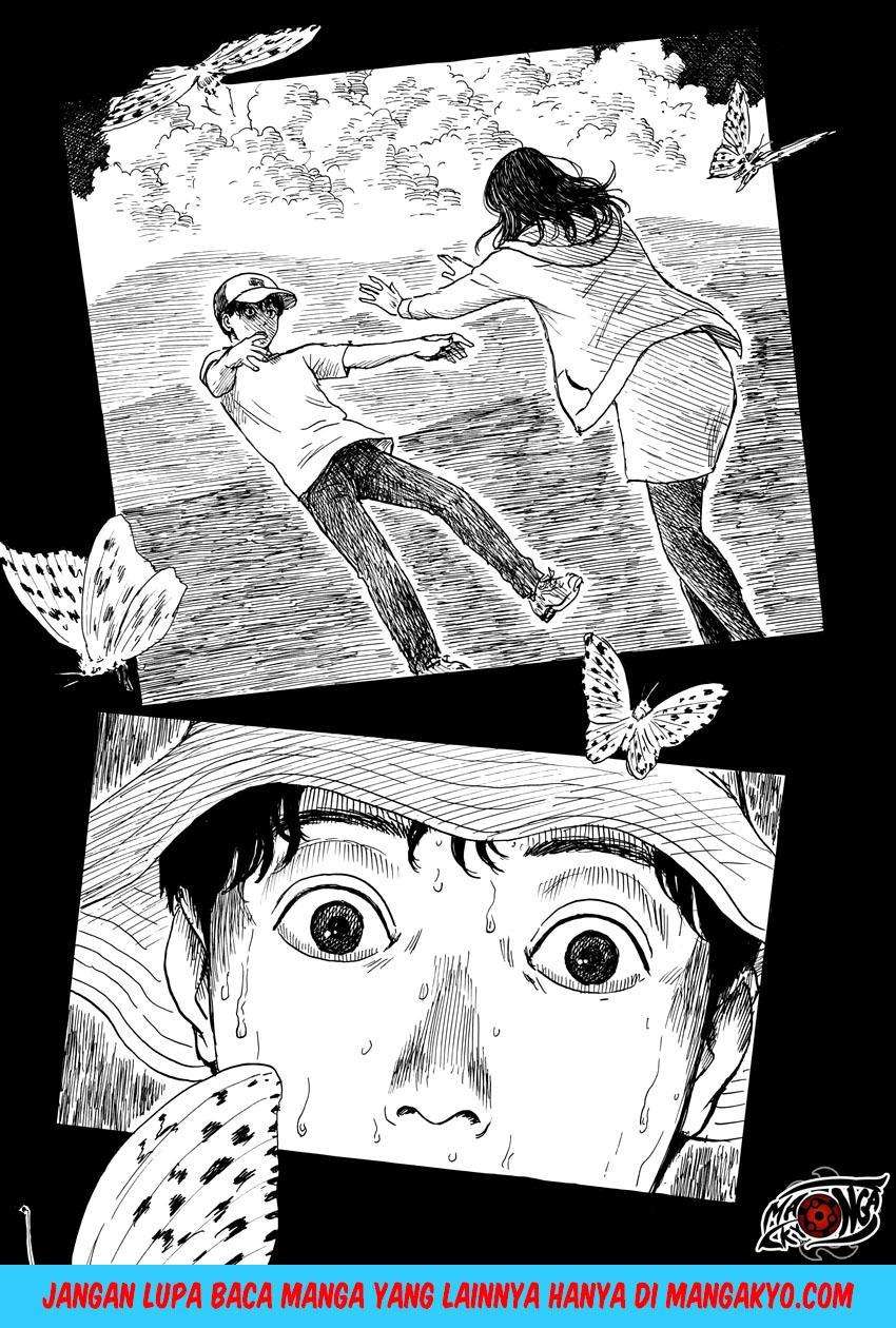 Panel 5
