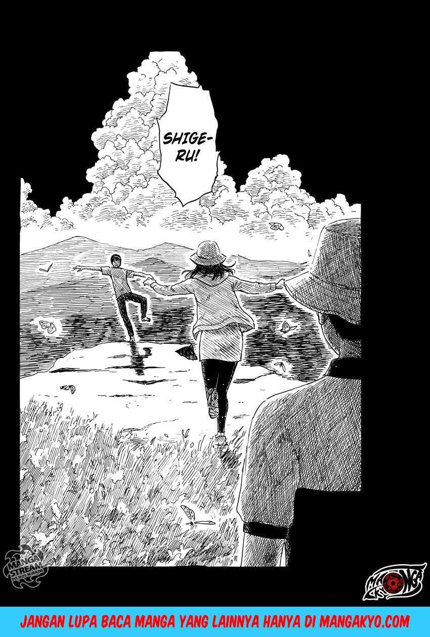 Panel 19