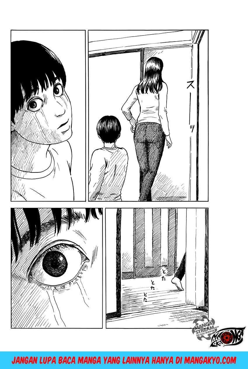 Panel 14