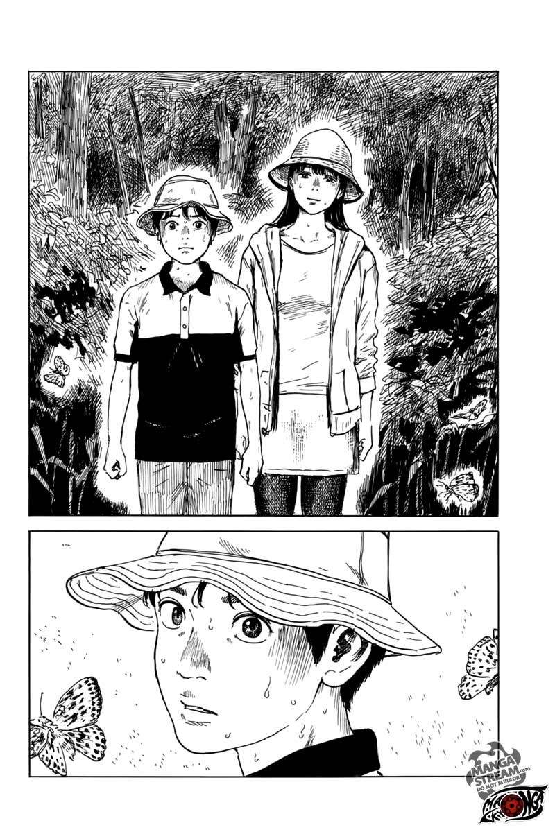 Panel 17
