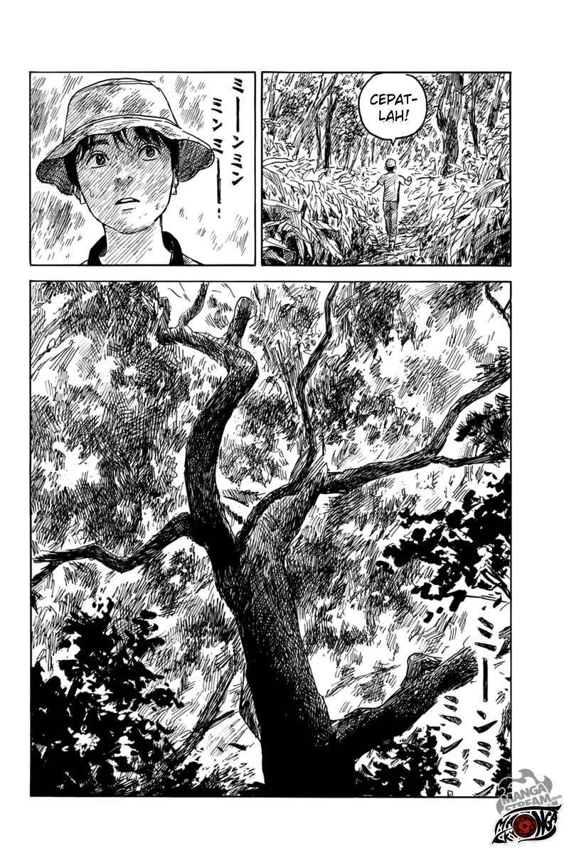 Panel 11