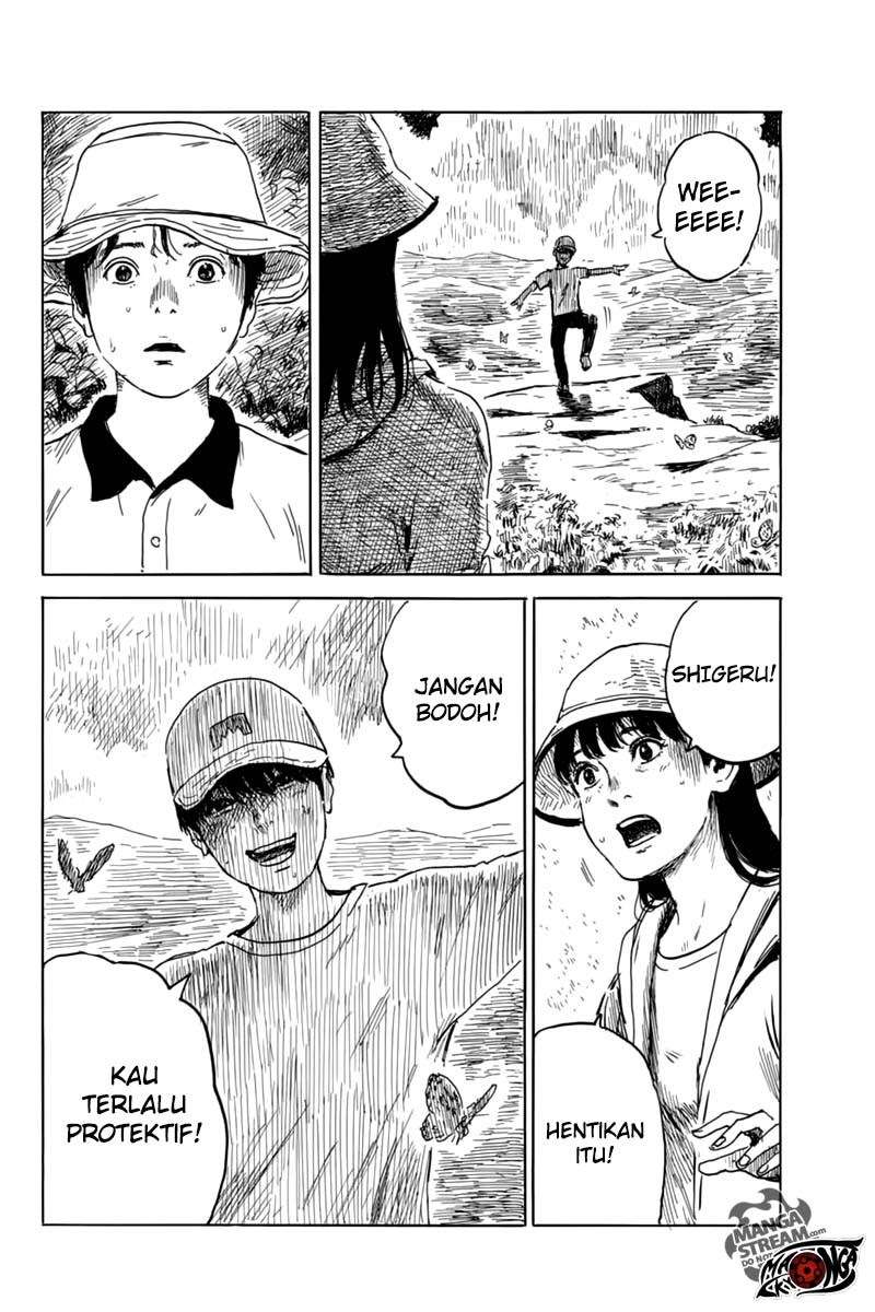 Panel 19