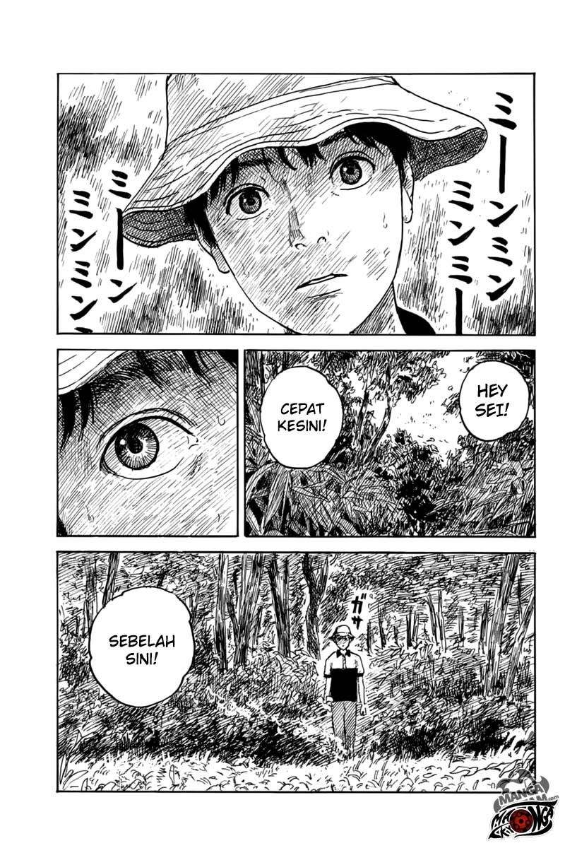Panel 12