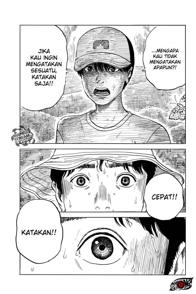 Panel 16