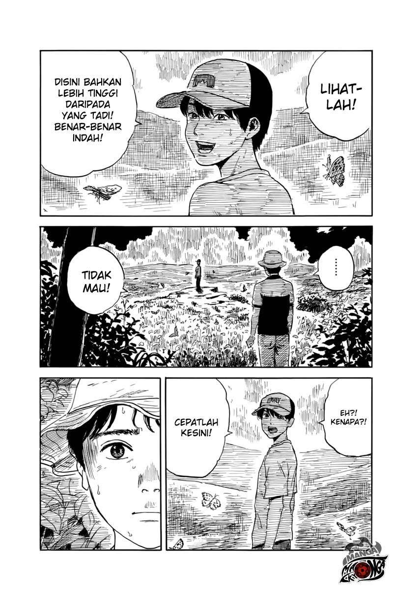 Panel 14