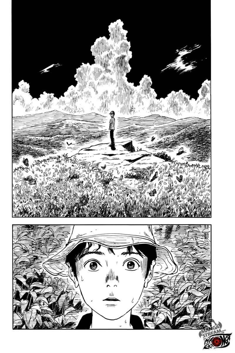 Panel 13