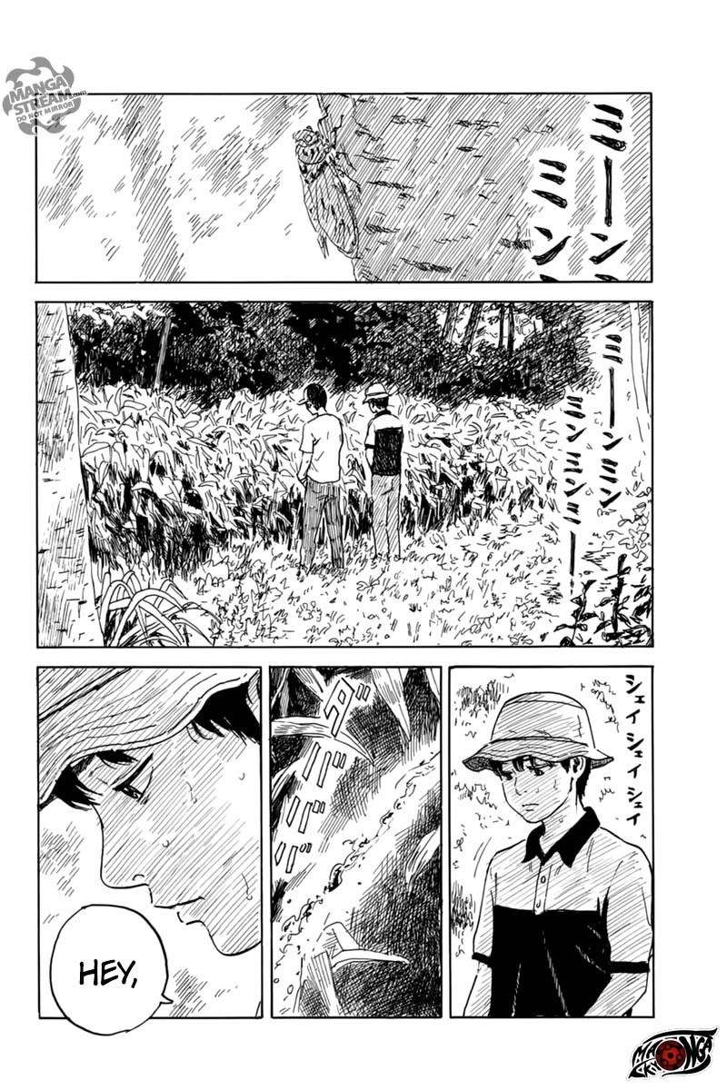 Panel 7