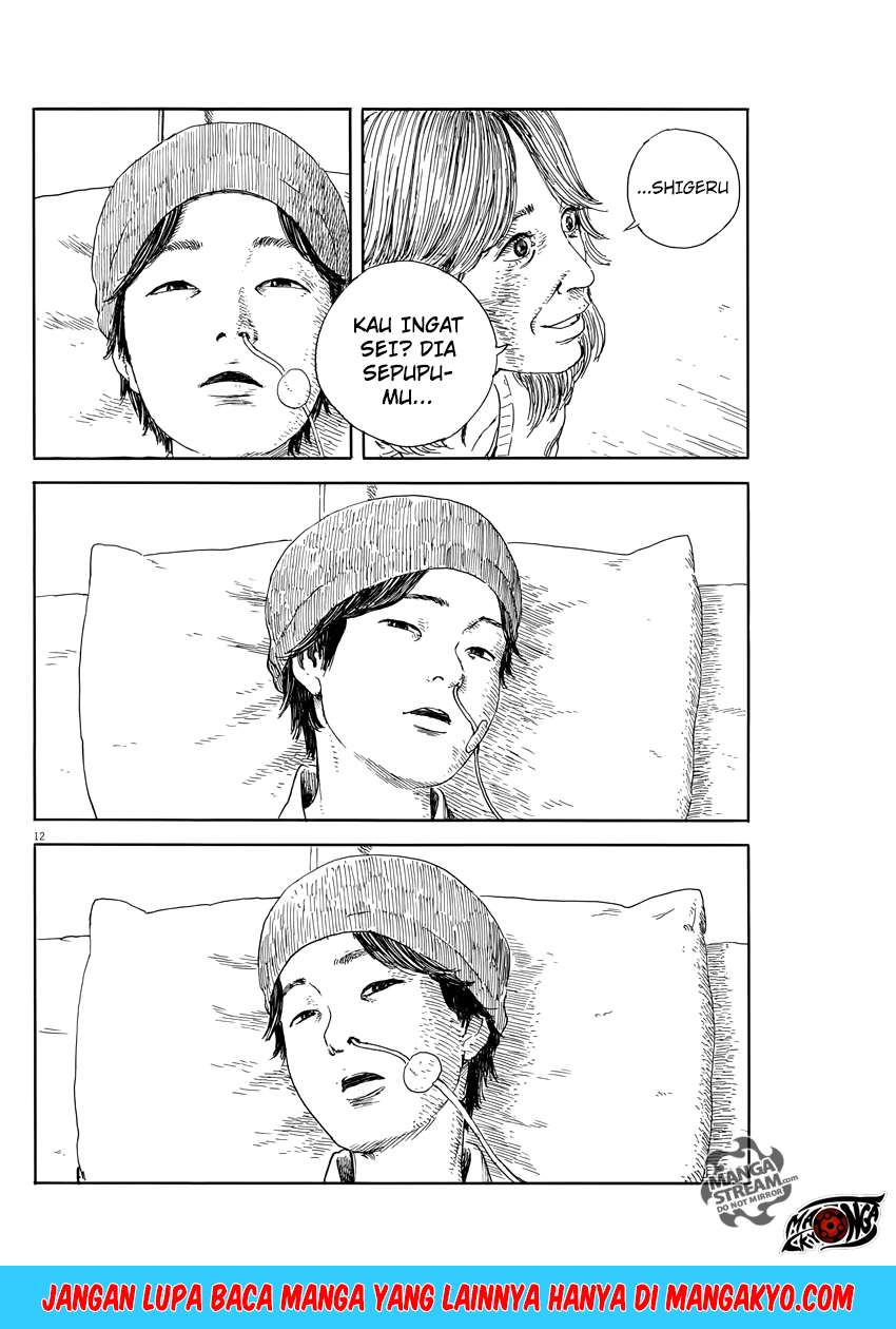 Panel 13