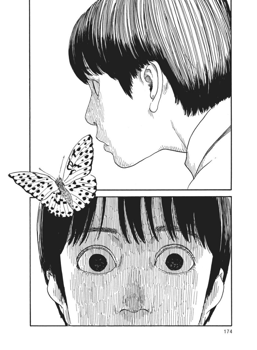 Panel 5