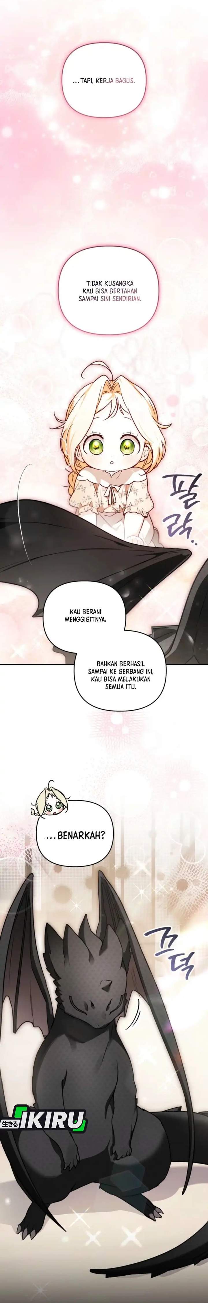 Panel 11