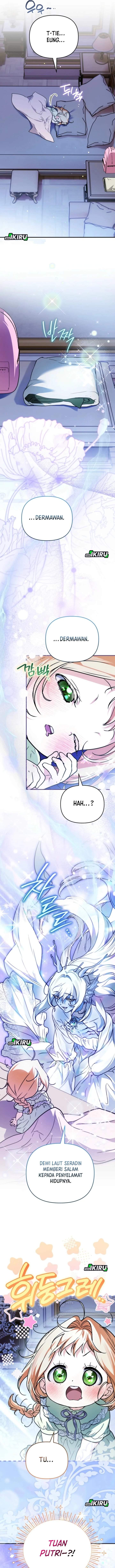 Panel 13