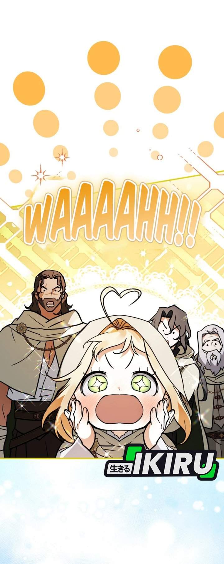 Panel 27
