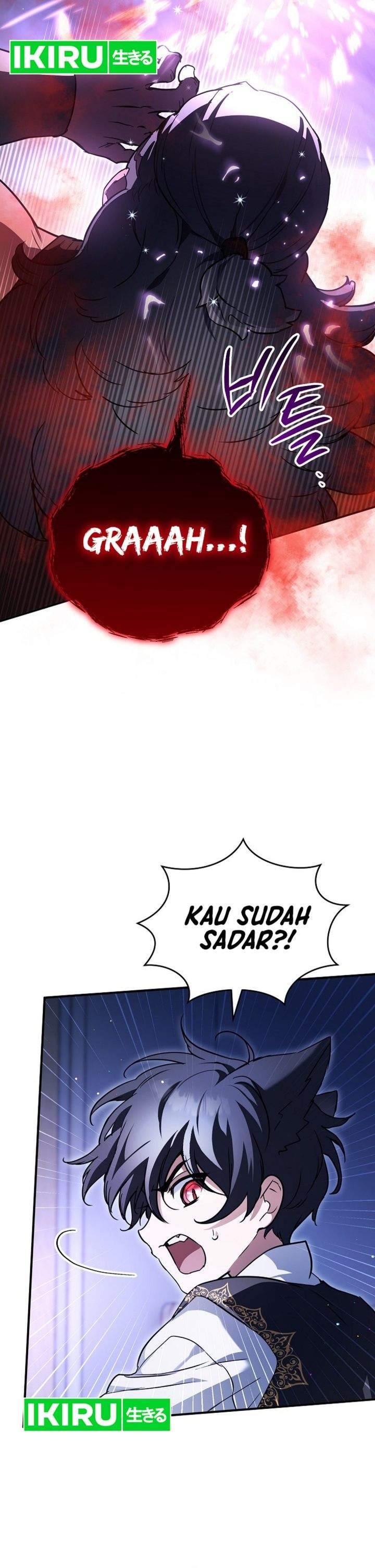 Panel 13