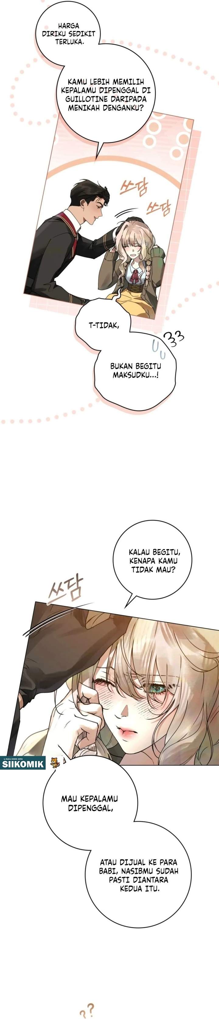 Panel 5
