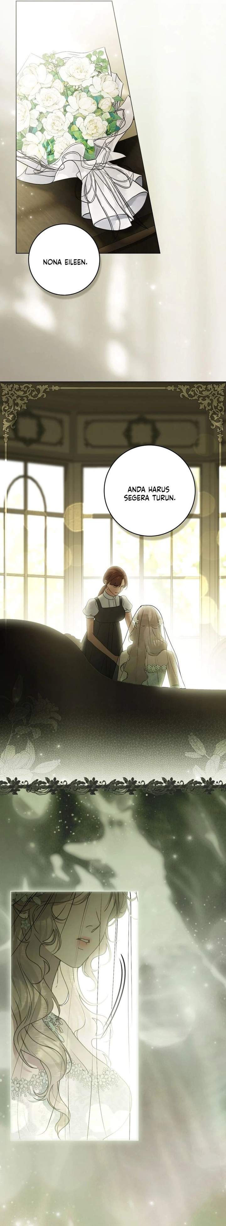 Panel 7