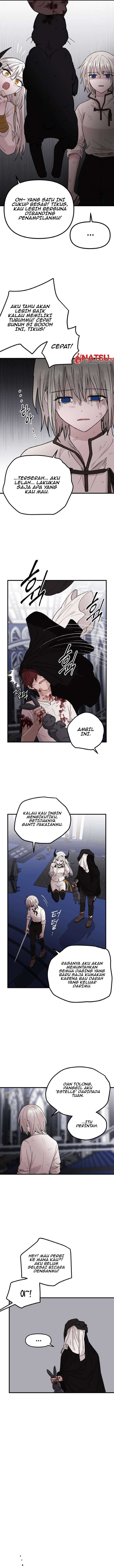 Panel 12