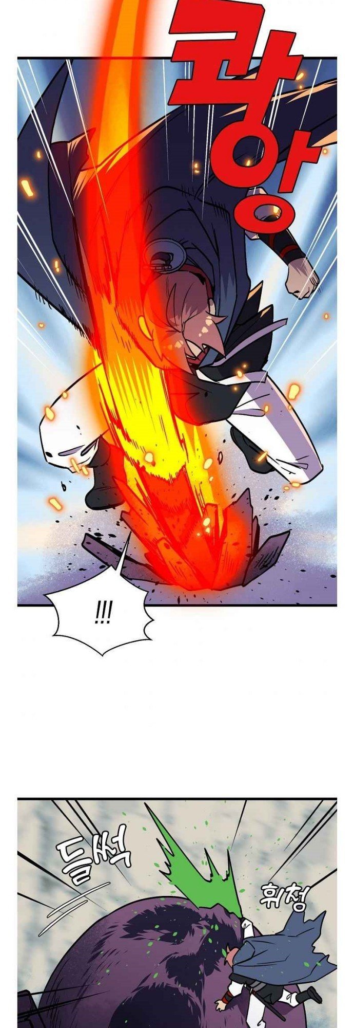 Panel 19