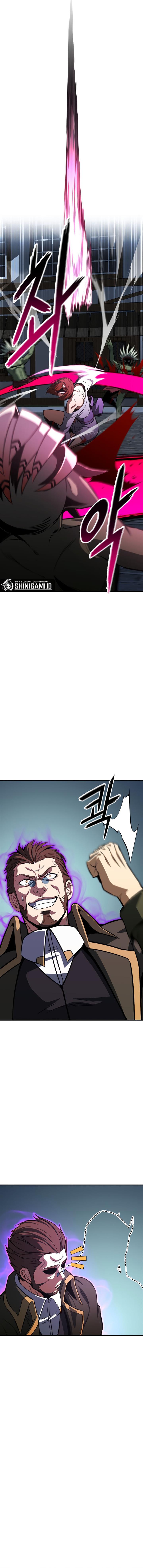Panel 13