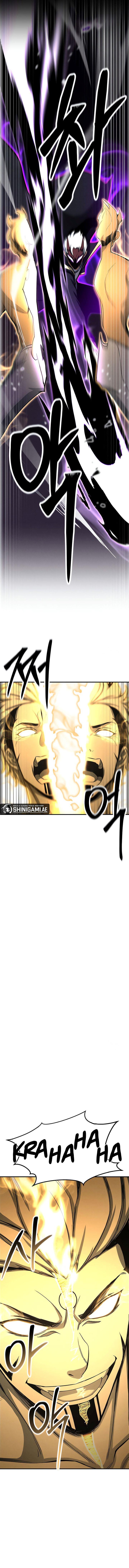 Panel 14