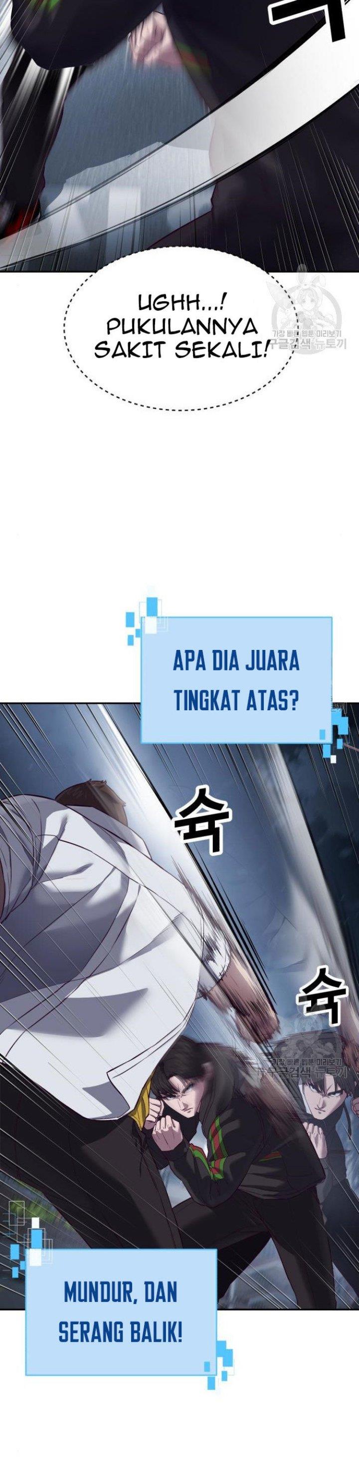 Panel 13
