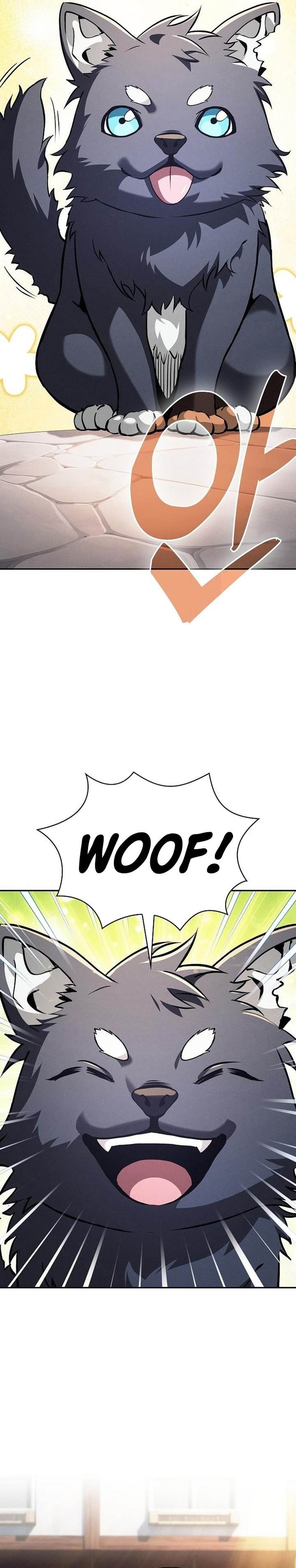 Panel 4