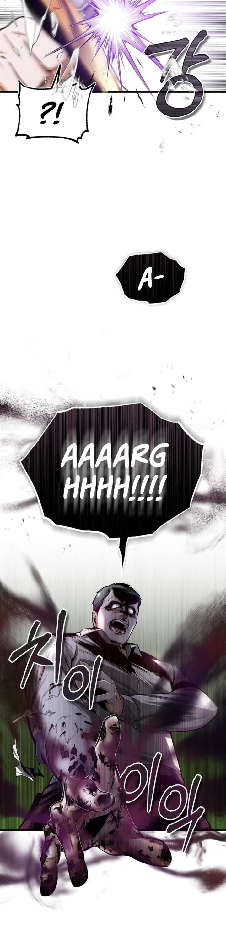 Panel 13