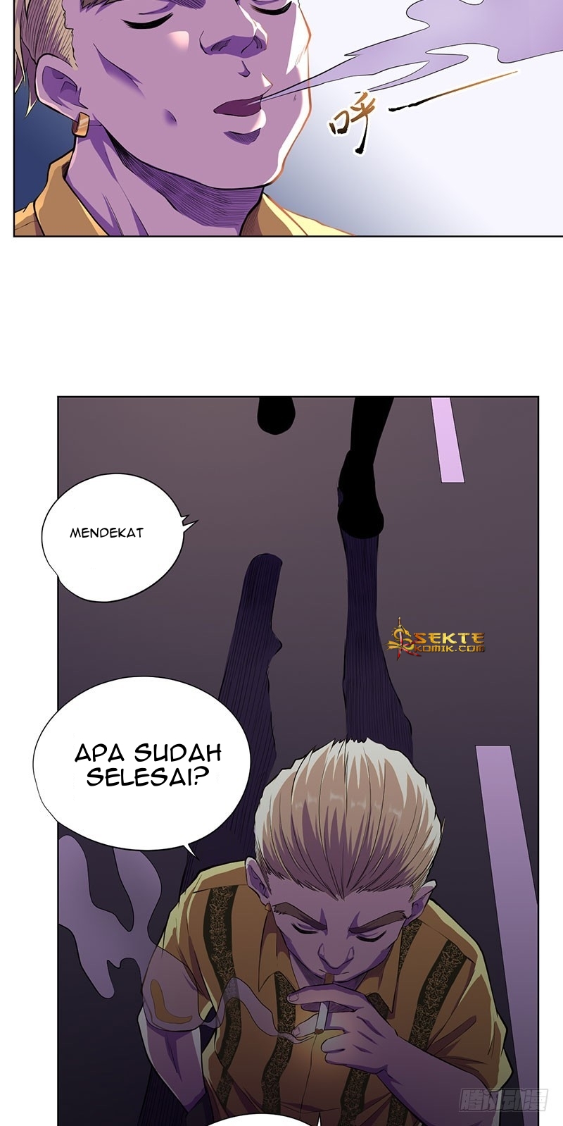 Panel 27