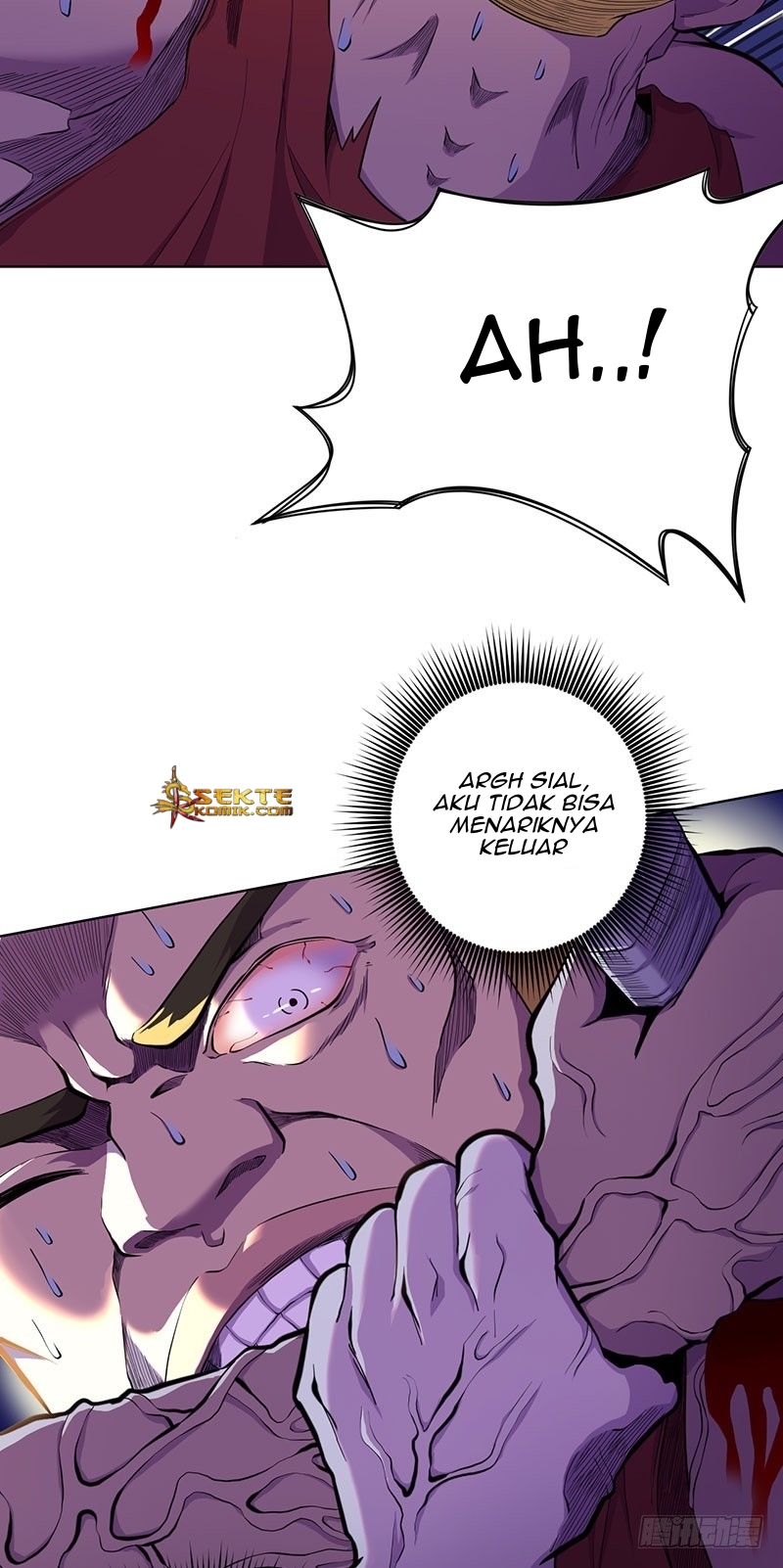 Panel 17