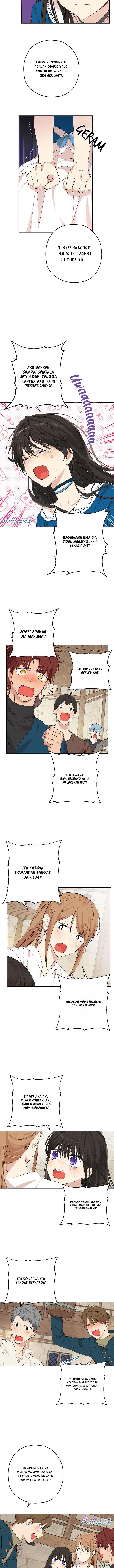 Panel 6