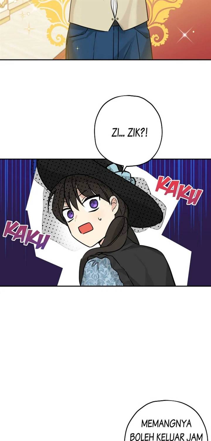 Panel 5